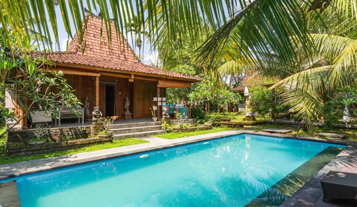 Eco-Friendly Wellness Retreat in the Eco-Tourism Village of Nyambu (15)