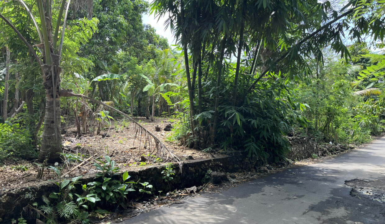 Leasehold Land with Golf Course and Sunset View in Dreamland (4)