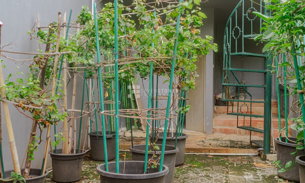 Prime Investment Opportunity Expansive Land with an Old House in Tangerang, Ideal for Apartment or Small Residential Complex Development (17)