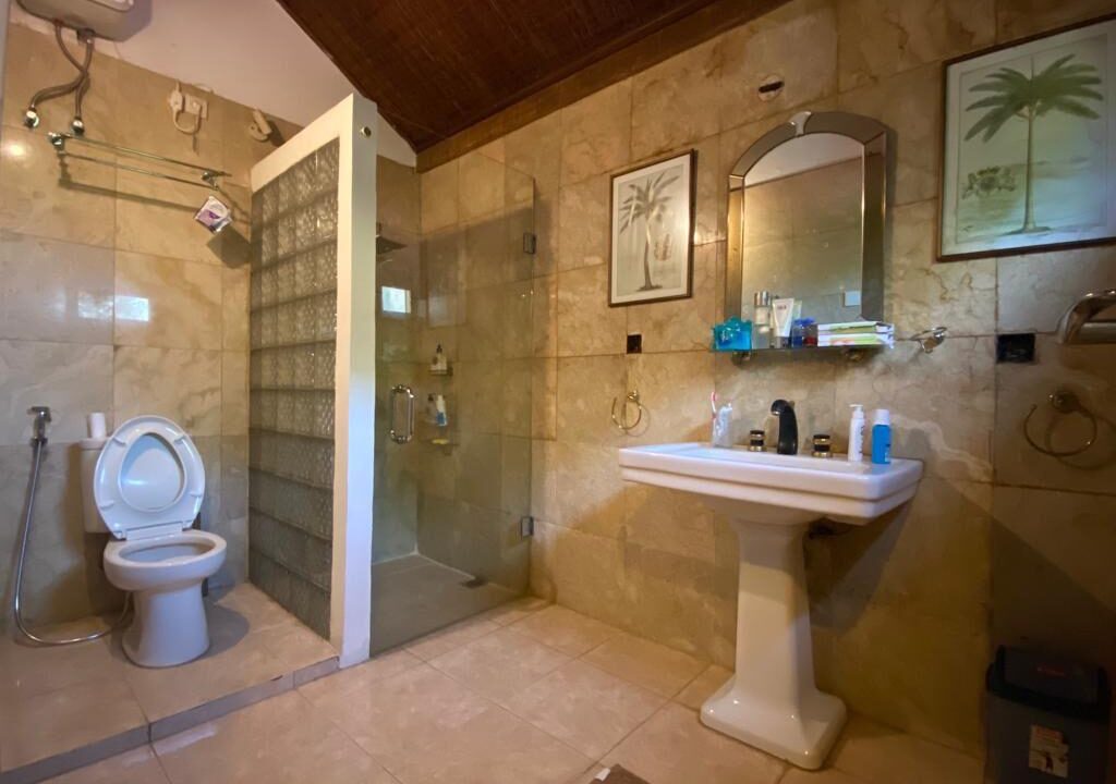 Three-Bedroom Classic House in a Quiet Area (14)