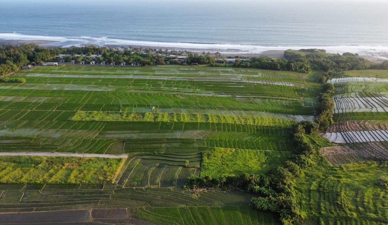 1. Exclusive Land For sale Tabanan