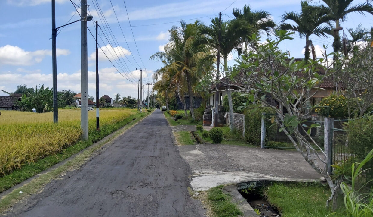 3-Bedroom Balinese style home villa in Tabanan (2)