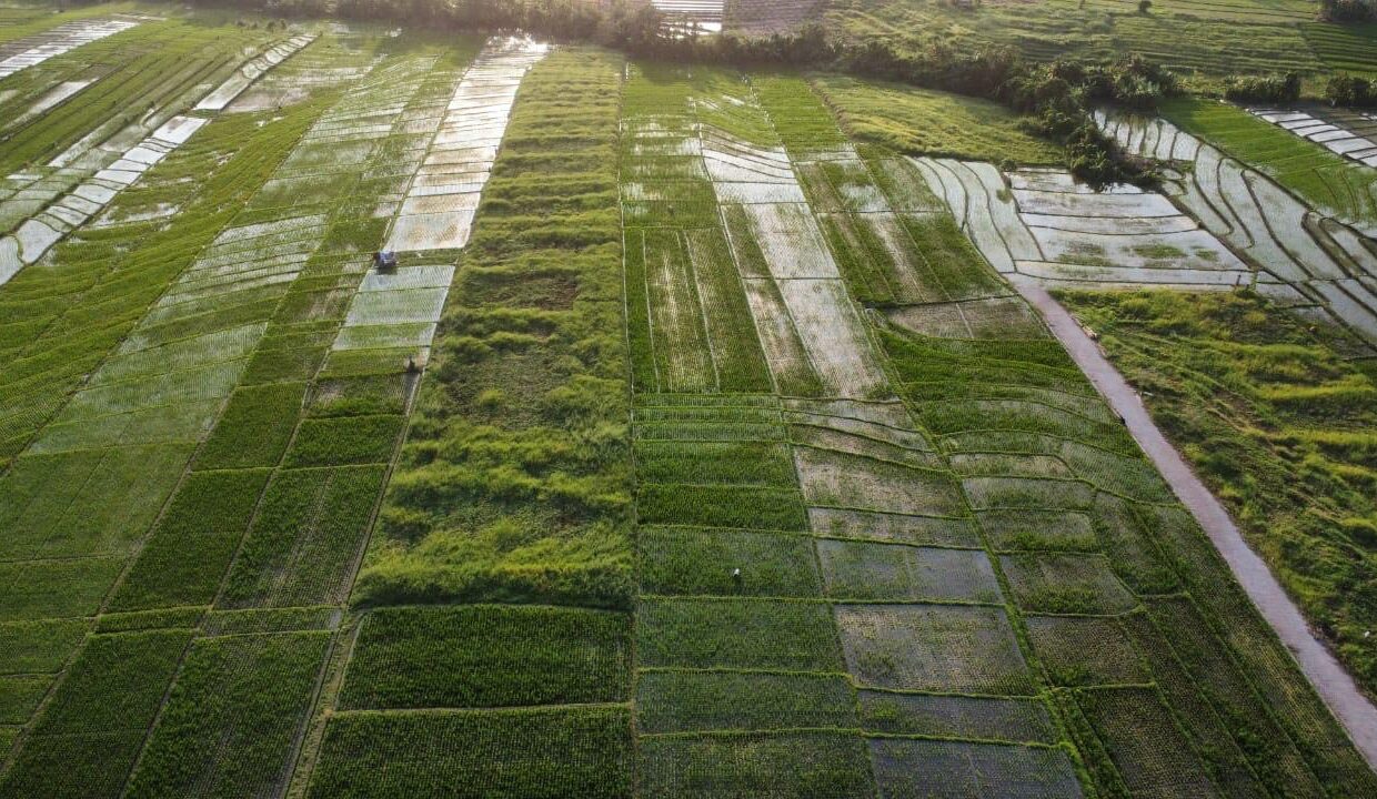 5. Exclusive Land For sale Tabanan