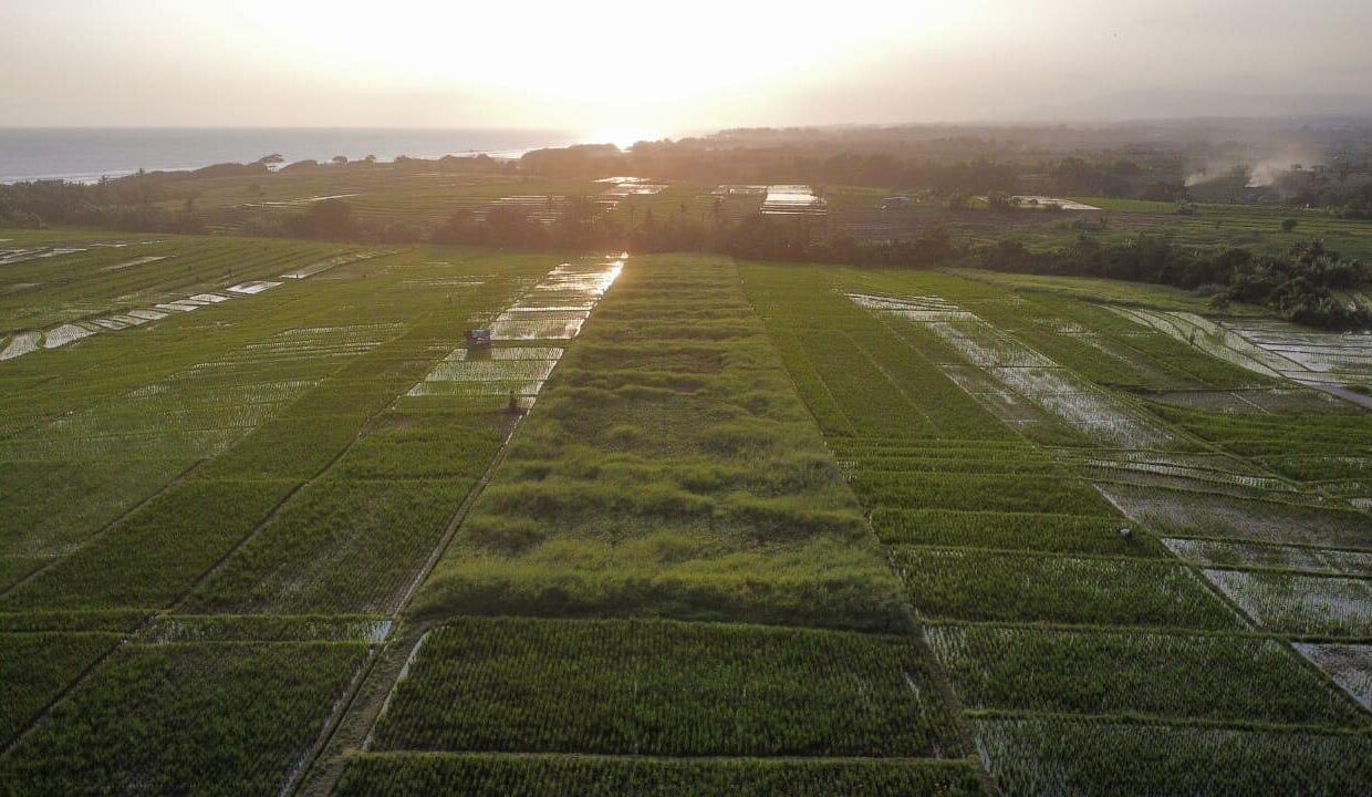 6. Exclusive Land For sale Tabanan