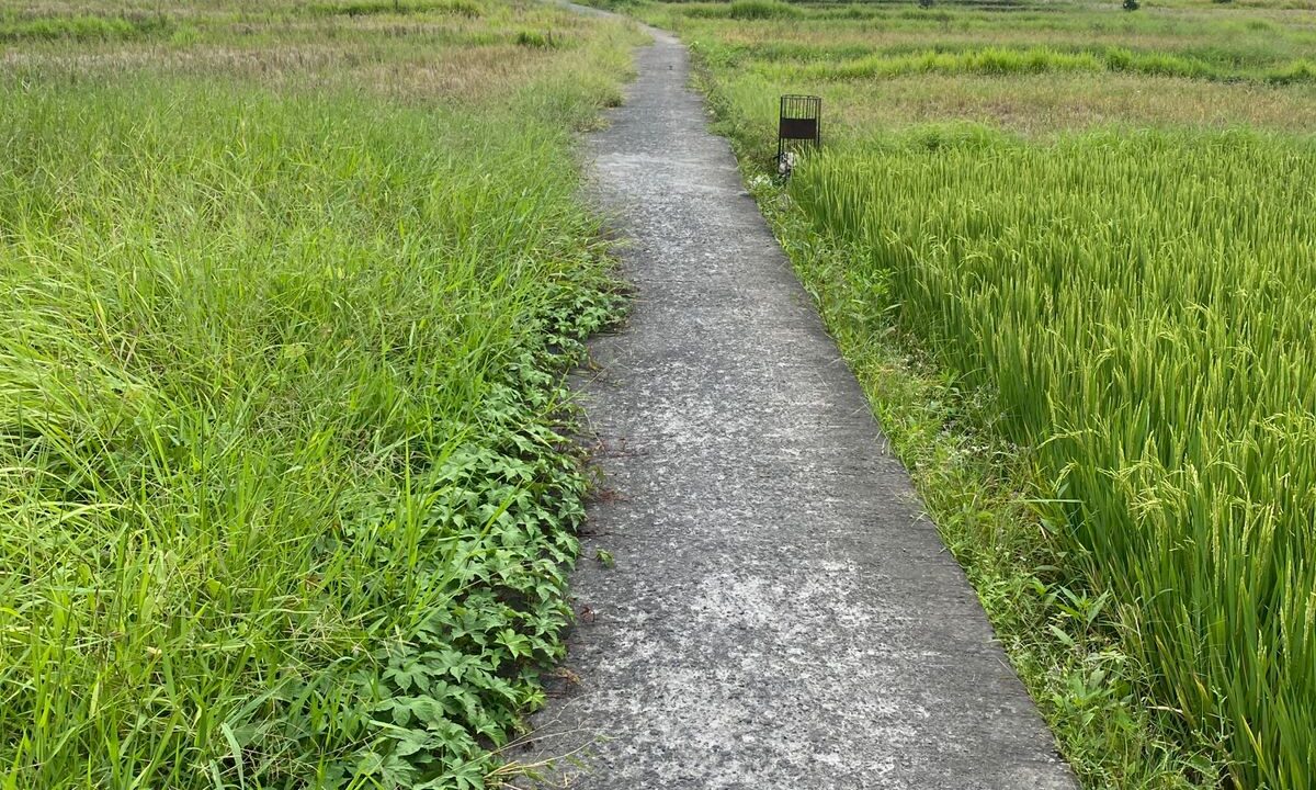 Discover Charming Rectangular Plot In Peaceful Scenic Cepaka - Tabanan (1)