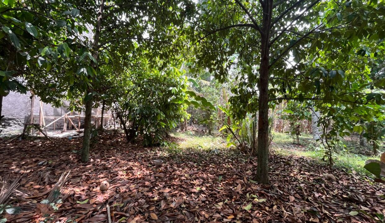 Discover Charming Rectangular Plot In Peaceful Scenic Cepaka - Tabanan (1)