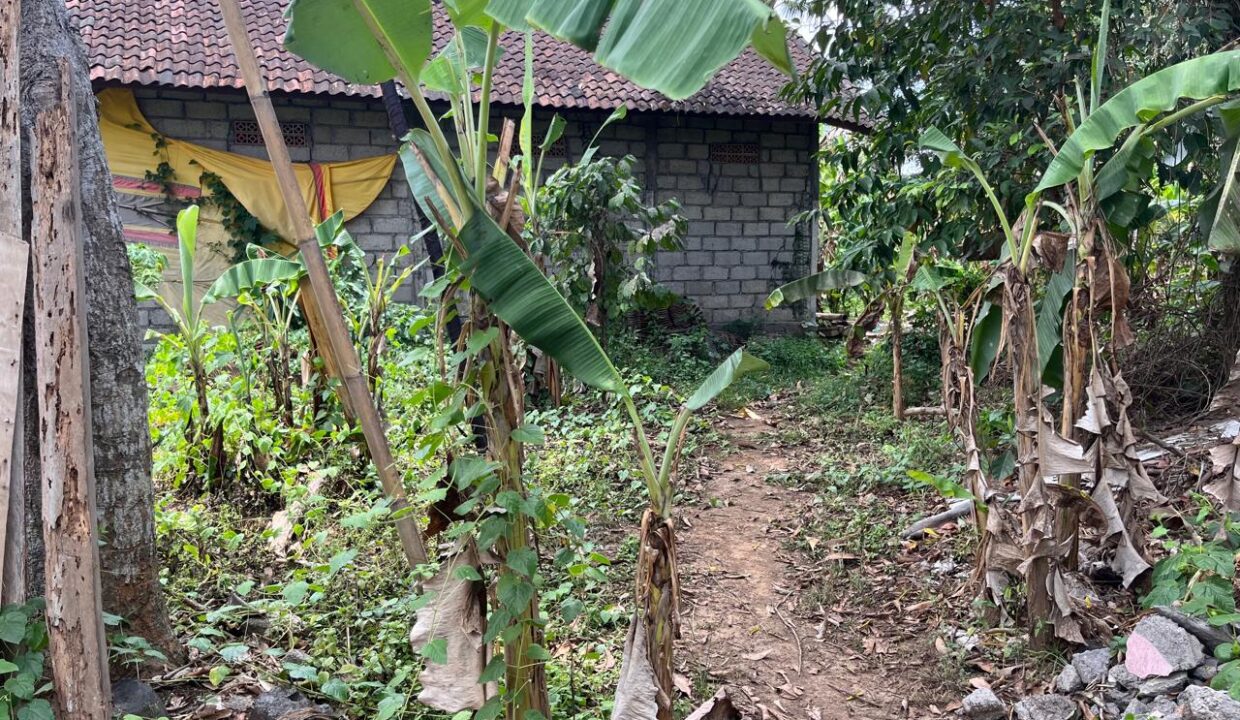 Discover Charming Rectangular Plot In Peaceful Scenic Cepaka - Tabanan (5)