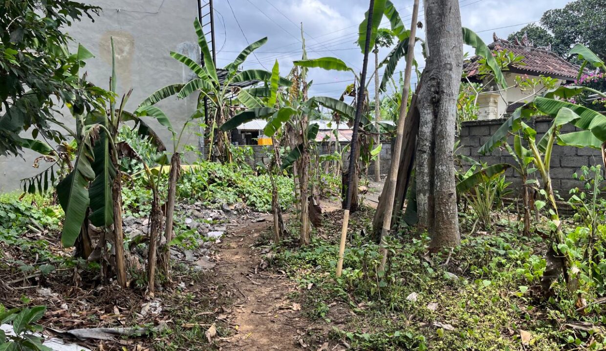 Discover Charming Rectangular Plot In Peaceful Scenic Cepaka - Tabanan (7)
