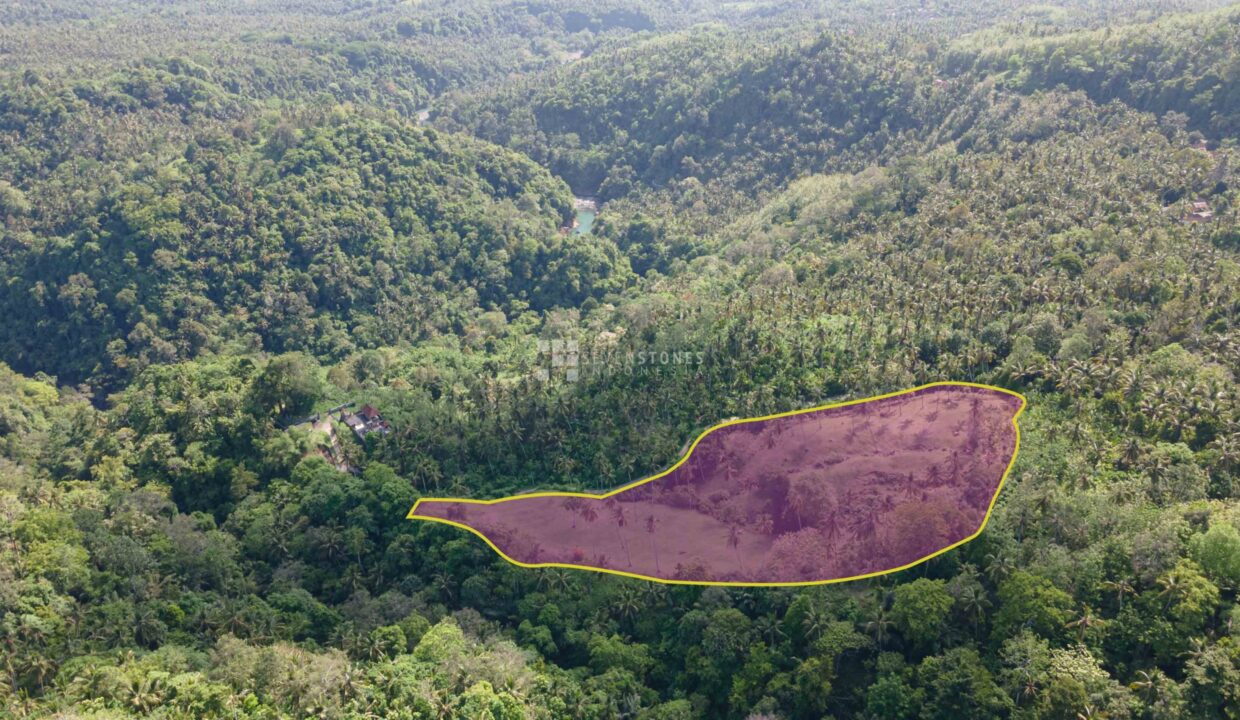 Freehold Land for Sale, Tabanan (1)