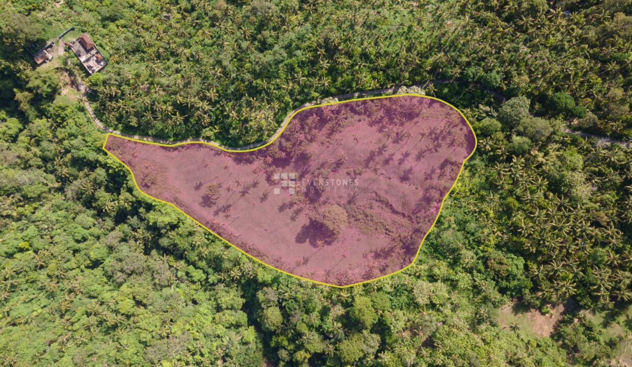Freehold Land for Sale, Tabanan (2)