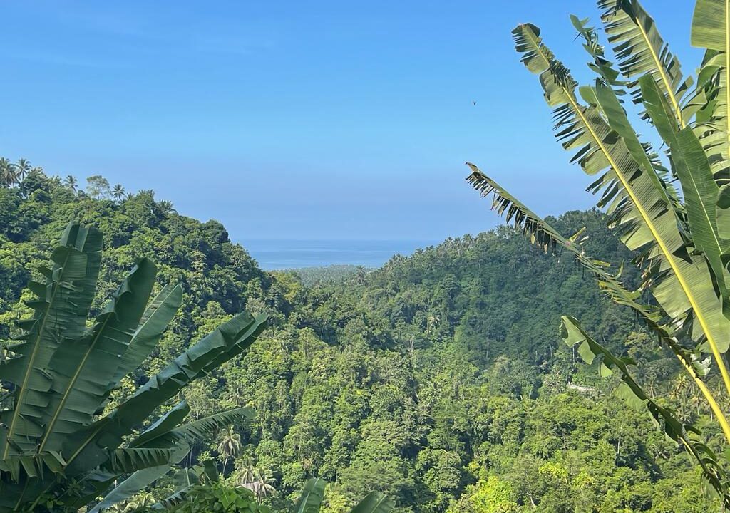 Freehold Land for Sale, Tabanan (5)