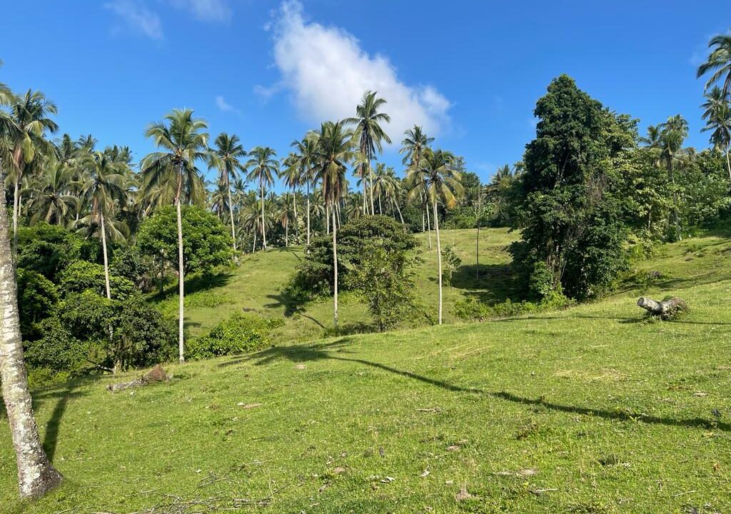 Freehold Land for Sale, Tabanan (6)