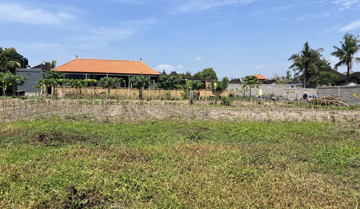 2. Leasehold land in Batuan, Gianyar