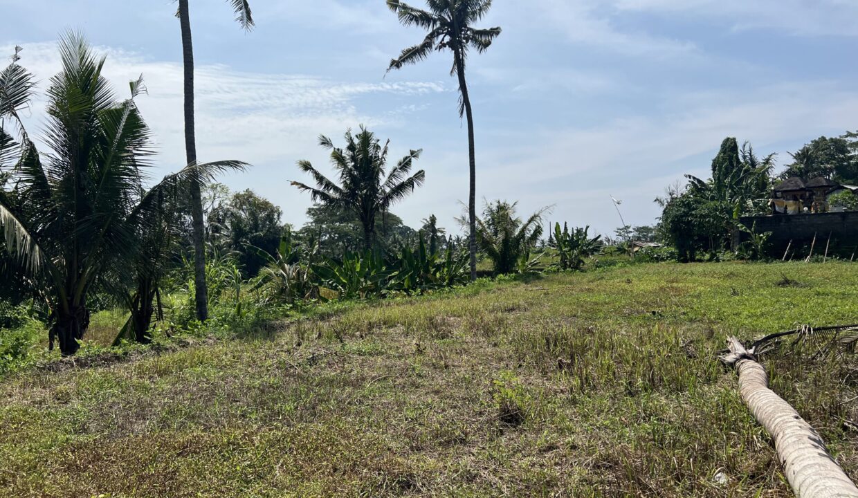 3. Leasehold land in Batuan, Gianyar