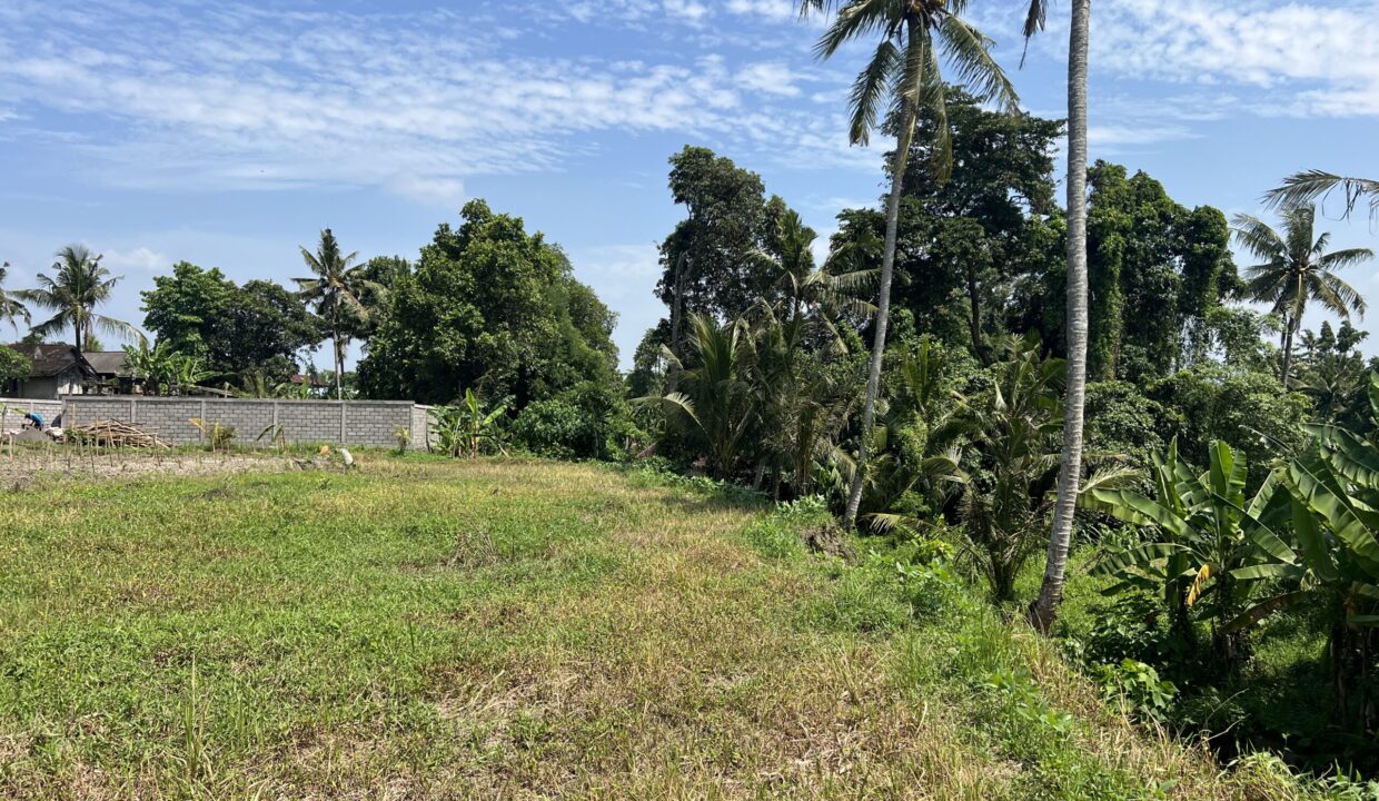 4. Leasehold land in Batuan, Gianyar