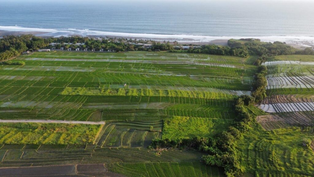 Exclusive Land Plots for Sale, Tabanan