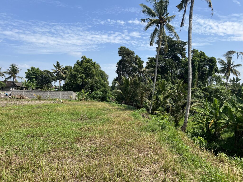 For Sale Leasehold Land in Gianyar