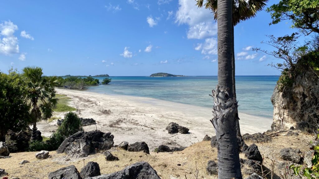 Beachfront Land Investment Opportunity in Rote Island