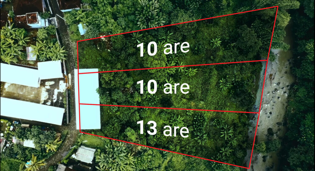 Lush Jungle Land for Lease – Just 10 Minutes to Nuanu & the Beach!