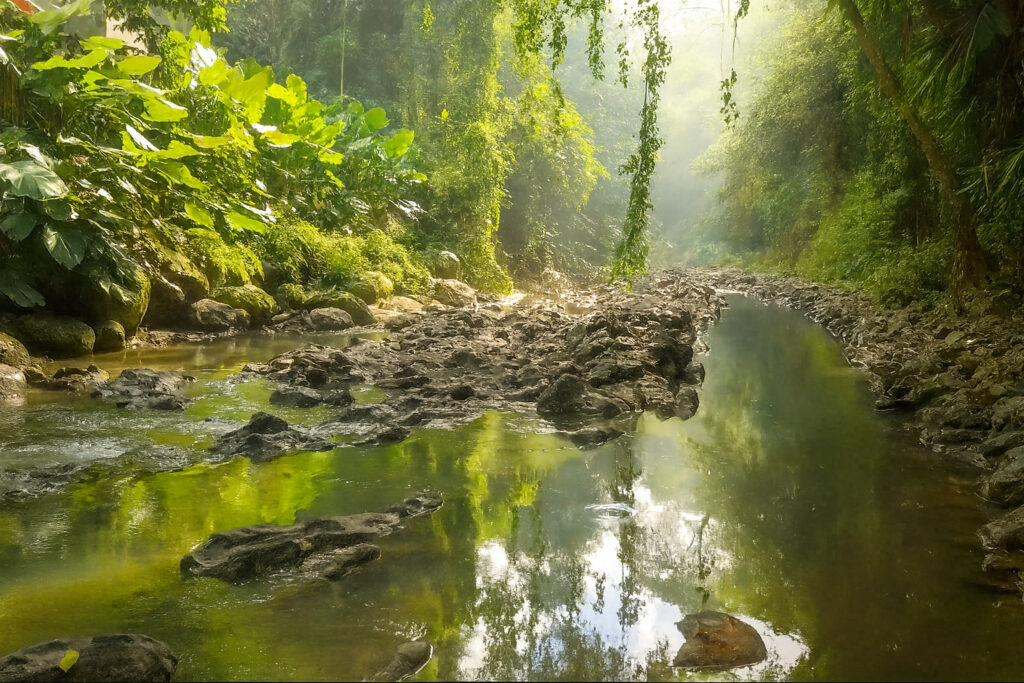 Prime Riverfront Land for Lease in Buwit, Tabanan – Close to Pererenan & Canggu